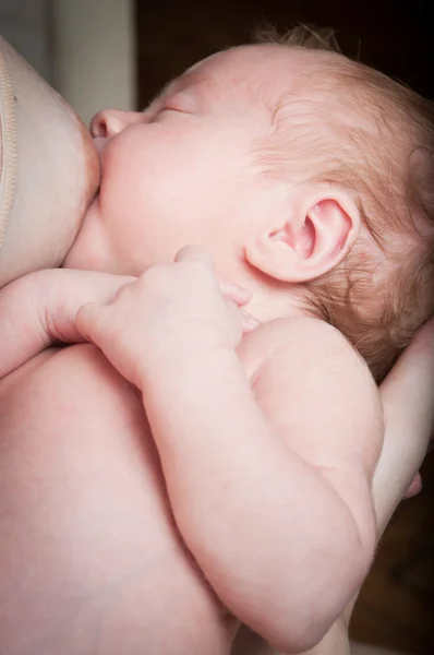 stock image Baby breastfeeding