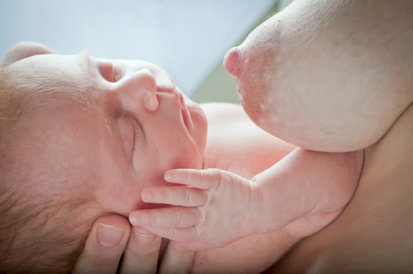 stock image Newborn sleeping baby