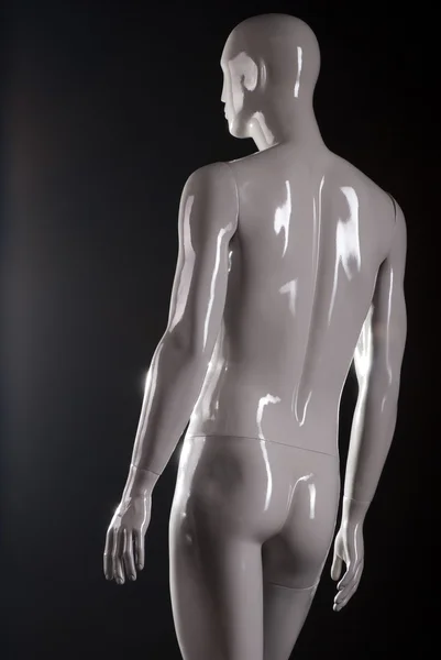 stock image Rear view of male fashion mannequin